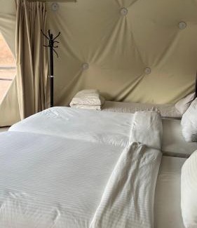 Wadi Rum Other | Wadi rum Wild life camp