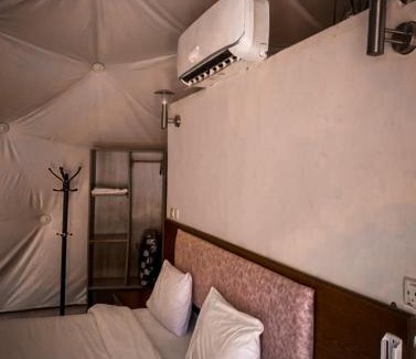 Wadi Rum Other | Wadi rum Wild life camp