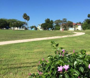 Treasure Beach House | Waikiki Guest House