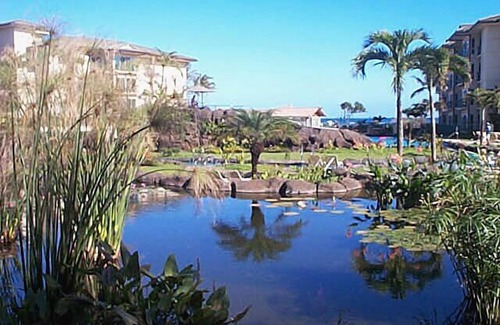 Wailua Condo | Waipouli Beach Resort A-105, Eastside, easy access to all of Kauai.