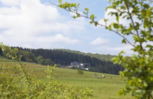 Willingen Hotel | Wald Hotel Willingen