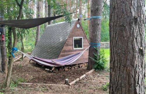 Cottbus Other | WaldCamp mit einfachen und zweckmässigen Hütten und Caravans Natur Pur