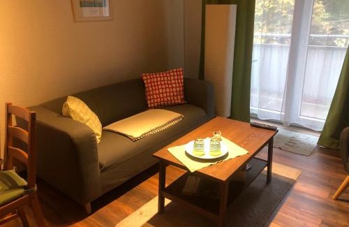 Bad Grund Apartment | Waldläufer