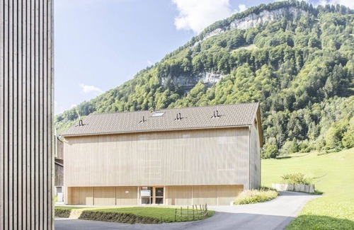 Mellau Apartment | Waldluft - Waterfall Apartments