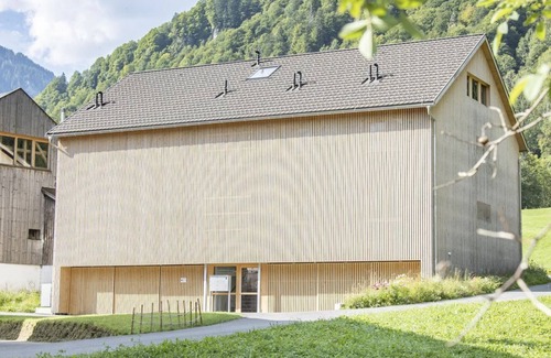 Mellau Apartment | Waldluft - Waterfall Apartments