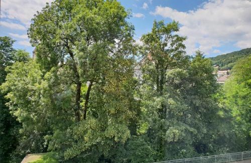 Waldshut-Tiengen Apartment | Waldshut-Zentrum