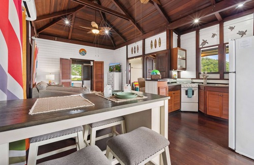Estate Enighed Condo | Walk 2 Cruz Bay 2024 Renovations W/D WiFi Parking Battery Backup