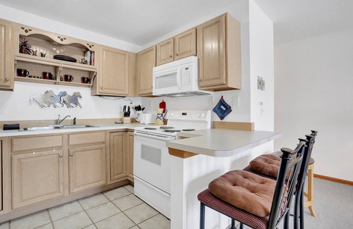 Steamboat Springs Condo | Walk to Dining & Shopping | W&D| Comm Hot Tubs | Free Bus Line