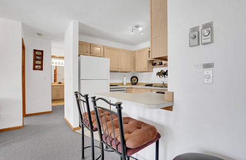 Steamboat Springs Condo | Walk to Dining & Shopping | W&D| Comm Hot Tubs | Free Bus Line