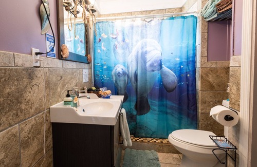 Springs at Kings Bay House | Walk to freshwater springs! Swim with manatees! Kayaking and more!