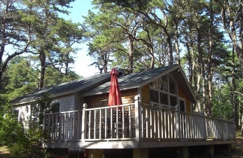 Wellfleet Cottage | Walk to Ocean Beach, Nat'l Seashore, WiFi, Bike Rail Trail
