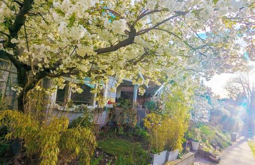 Queen Anne House | Walker Paradise #2 with 1 Permitted street parking in front or around zone #26