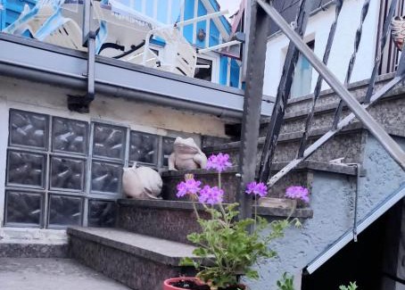 Wahlsburg Apartment | Walla 6