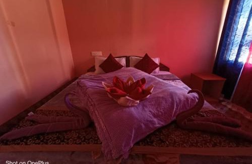 Leh Bed & Breakfast | Wanderlust Cottage Pangong Lake, Lukung,