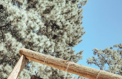 Crane Hill House | WANDERLUST TREEHOUSE Romantic couples getaway