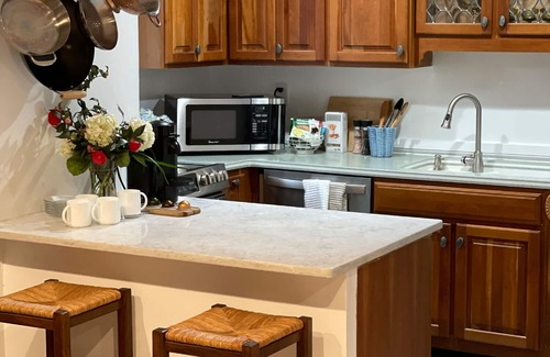 Old Town Alexandria Apartment | Washington Family Property, Lower Carriage House in Old Town on 107 S Lee Street