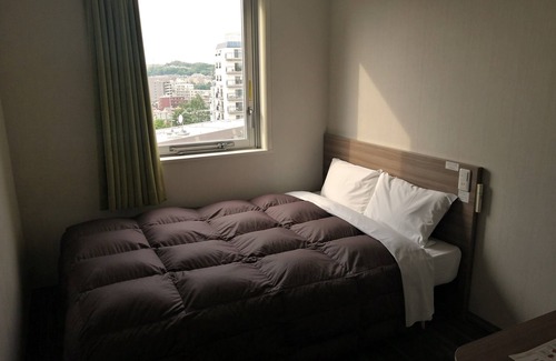 Hachioji Hotel | Washington R&B Hotel Hachioji