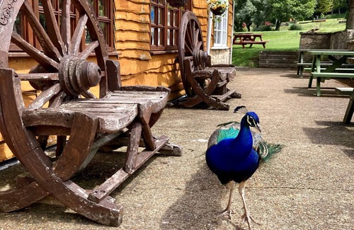 Mottistone Ski Chalet | Water Mill Vacations, Goldfinch