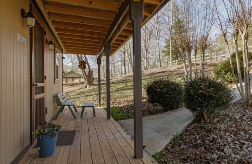 Cleveland Cabin | Waterfront 3rd night FREE with 2 night stay in August-near Wineries & Helen