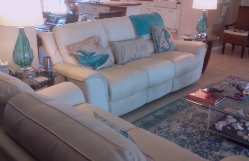 Palm Harbor Cottage | Waterfront beauty w/dock! For the winter 2023, min. from beach. Pet friendly,