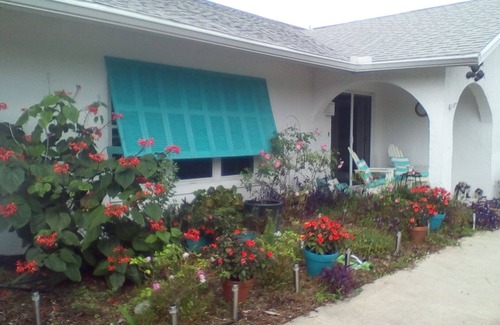 Palm Harbor Cottage | Waterfront beauty w/dock! For the winter 2023, min. from beach. Pet friendly,