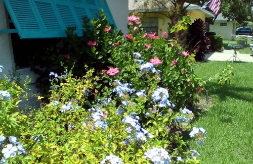 Palm Harbor Cottage | Waterfront beauty w/dock! For the winter 2023, min. from beach. Pet friendly,