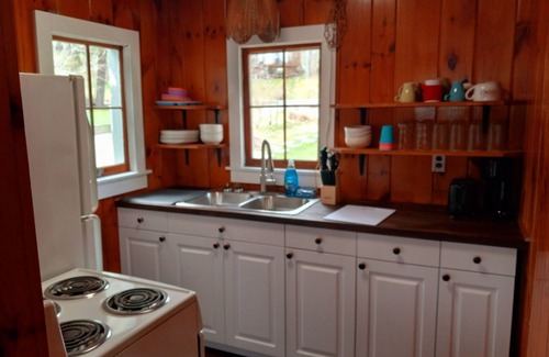 Northwest Harwinton Cabin | Waterfront Cabin w Firepit, Dock, Deck, BBQ. Direct Lake Access! Pet-friendly!