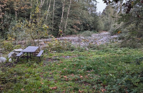 Gold Bar Cabin | Waterfront guest house nwith WiFi, AC, Hot tub, Sauna.nPet friendly.