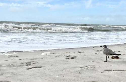 Marco Island House | Waterfront Home With Heated Pool/Jacuzzi and only 1mile to beach