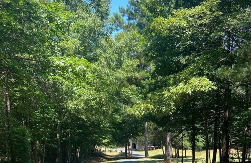 Scotts House | Waterfront Paradise on Lake Lookout Shoals