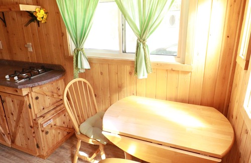 Pomquet Cabin | Waterfront Tiny House near Pomquet Beach- Winterized