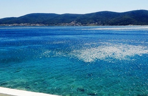 Salamis House | Wavedance Accommodation(Dionysos)