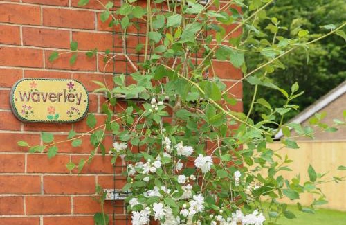 Skendleby House | Waverley