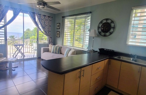 Puntas Apartment | WaveView - Rincon Apartment Rentals: (The Evon) Puntas 1 BR Condo w/Ocean View