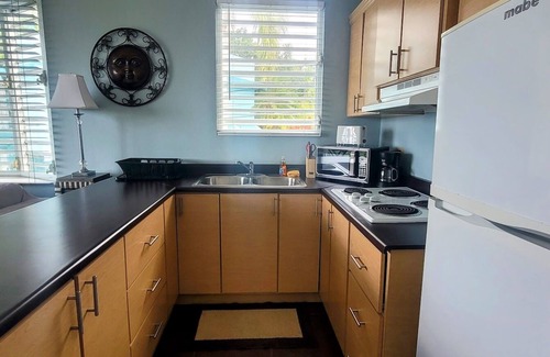 Puntas Apartment | WaveView - Rincon Apartment Rentals: (The Evon) Puntas 1 BR Condo w/Ocean View