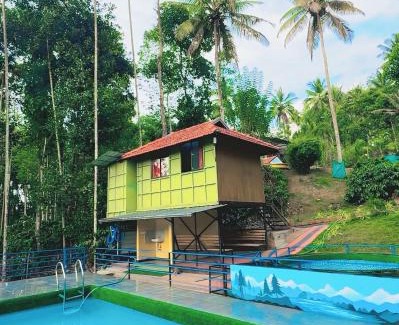 Vayittiri Resort | Wayanad Coffee Vintage