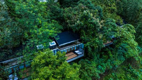 Manjoora Resort | Wayanad Silverwoods Forest Resort & Spa