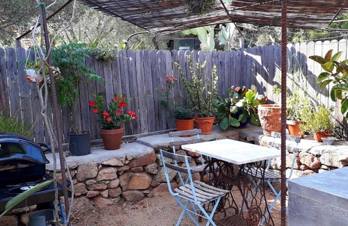Sa Castangia Other | We Are a real Farm&Guesthouse at 20 min from the Costa Smeralda Beaches
