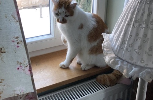 Grossschoenau House | We make your vacation a dream vacation! The special half-timbered house <3