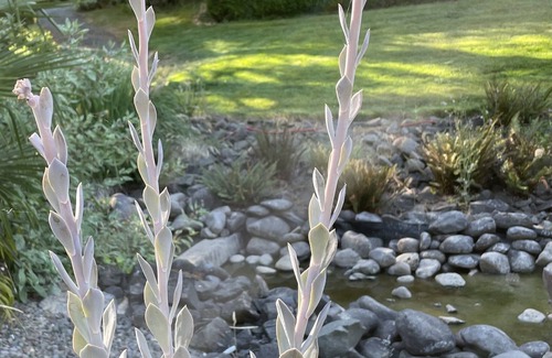 Cottage Grove House | Weddings, Events and Family gatherings.