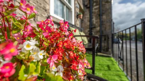 Kendal House | Wee Toad Hole Heart of Kendal - Cottage sleeps 4-6 - Dogs Welcome