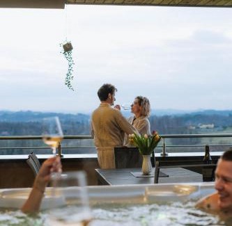 Ehrenhausen an der Weinstraße Apartment | Weingut Zweytick Lodge Vinoment