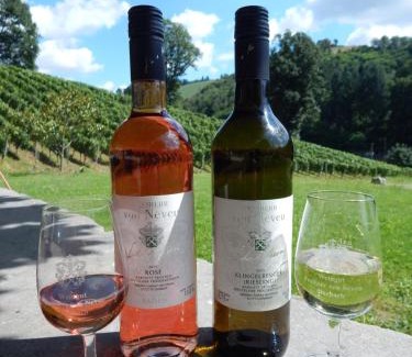 Durbach Apartment | Wein Lodge Durbach - Schlossblick