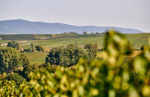 Ingenheim Hotel | Weingasthaus Wisser