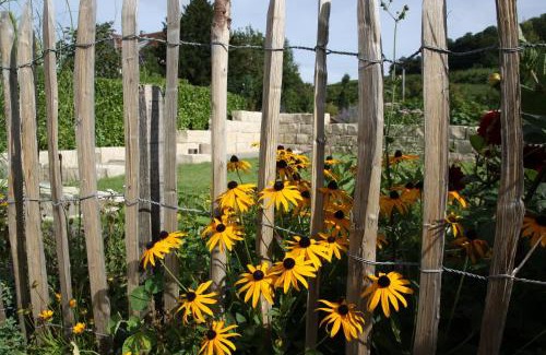 Oberrotweil Apartment | Weingut Landerer