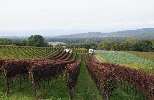 West Apartment | Weingut Landmann Ferienwohnungen