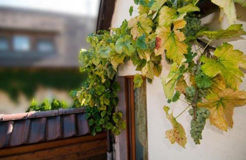 West Apartment | Weingut Landmann Ferienwohnungen