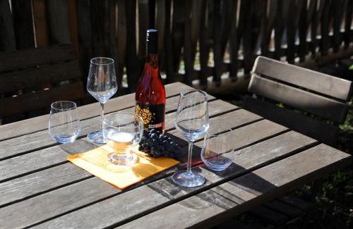 Meissen Apartment | Weingut Martin Schwarz