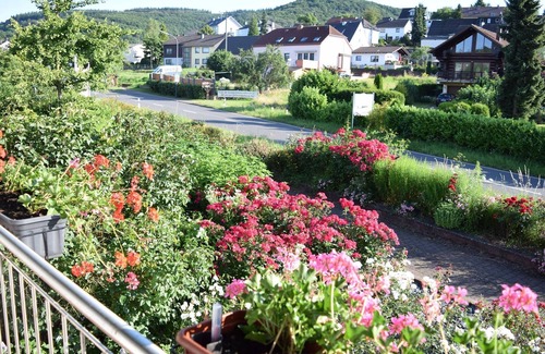 Ayl Cottage | Weingut-Pension Raevenhof - Double Room Shower /WC