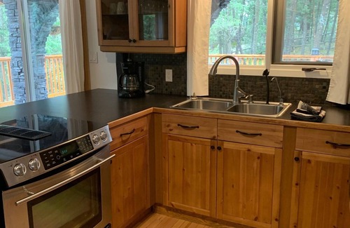 East Kootenay Cabin | Welcome to Skala Lodge 4BR, 4Season, 4Family fun